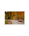 356 Porsche Print Only / XXL