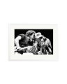 Bruce Springsteen Performs White / XL