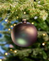 Carol Bauble Green