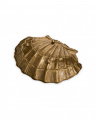 Seashell skål mässing