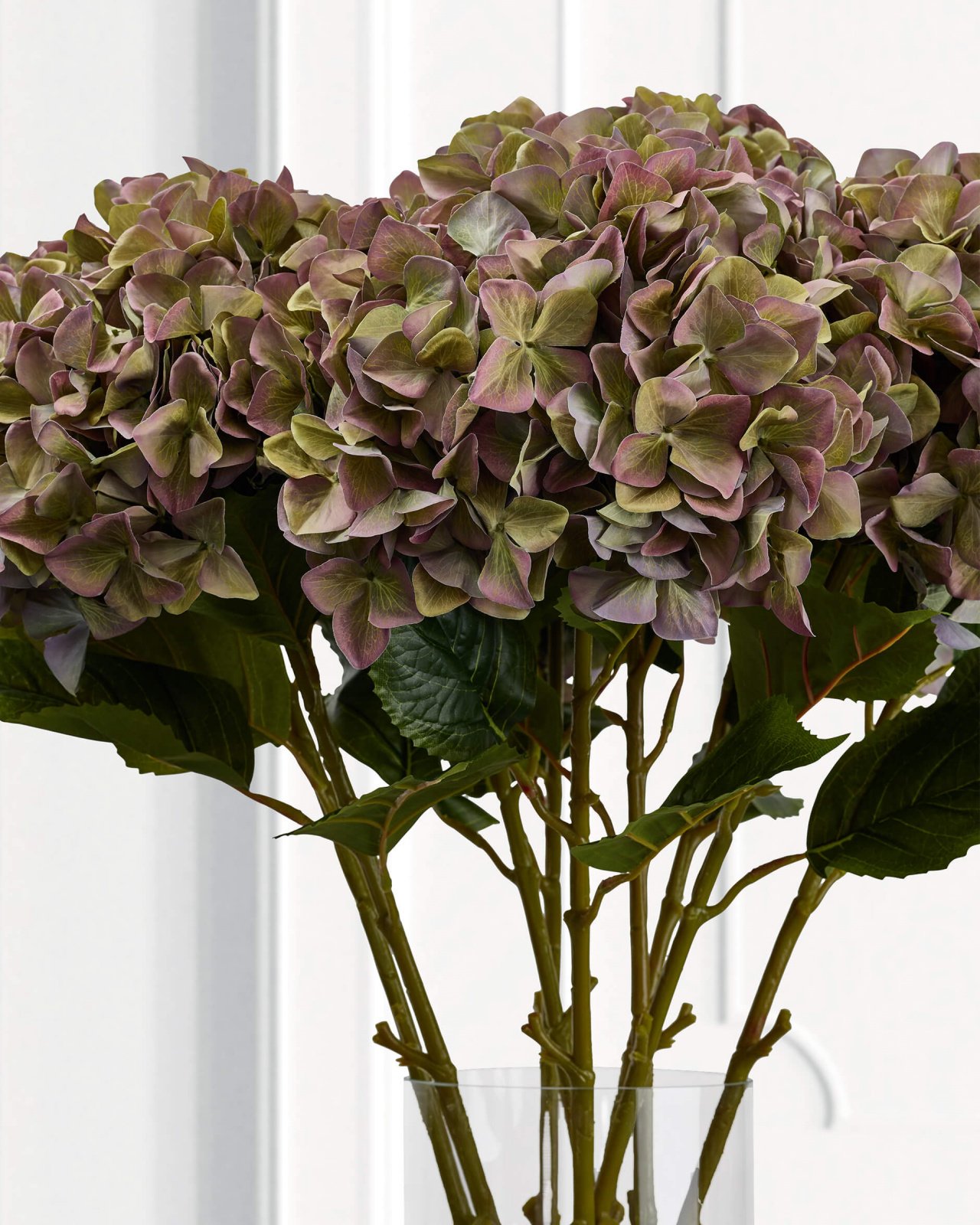 Hydrangea Cut Flower Purple