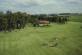 Polo Match