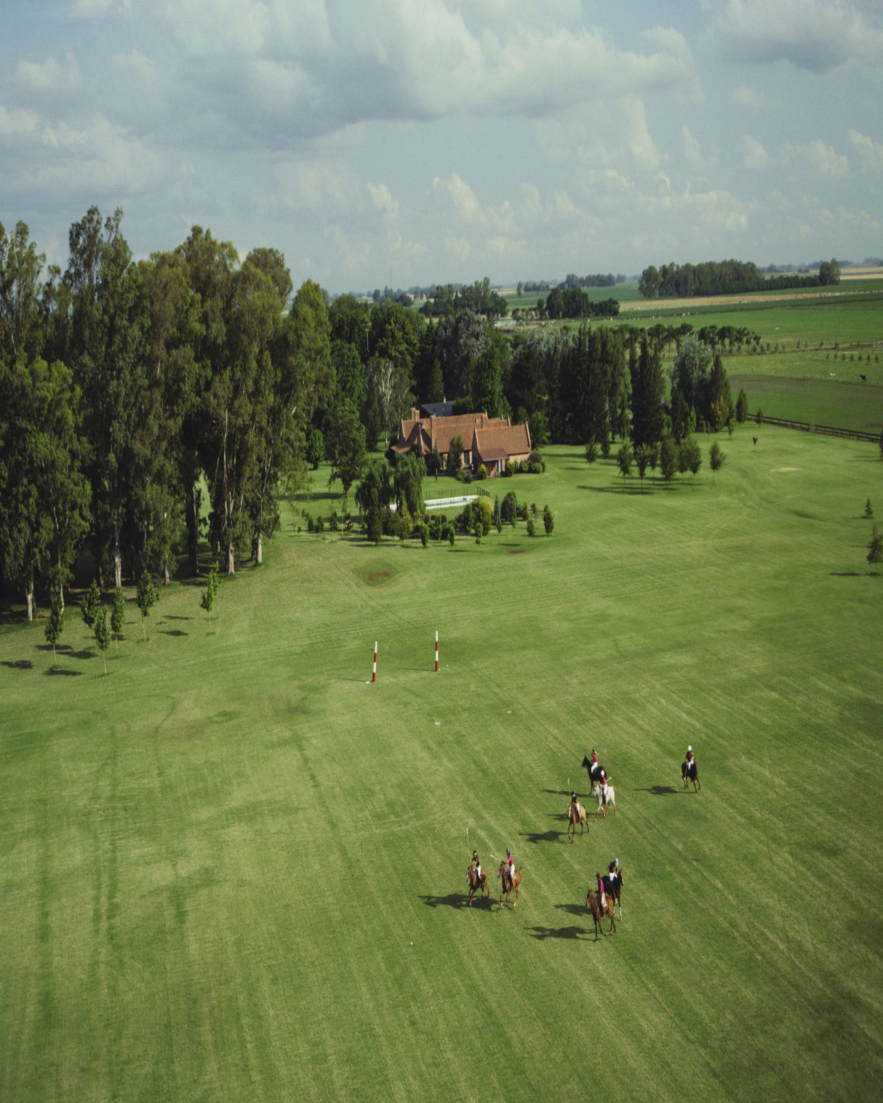 Polo Match