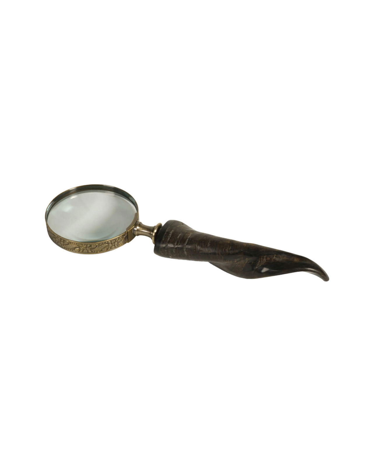Horn Magnifier Antique Brass
