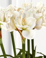 Amaryllis Kunstpflanze weiß