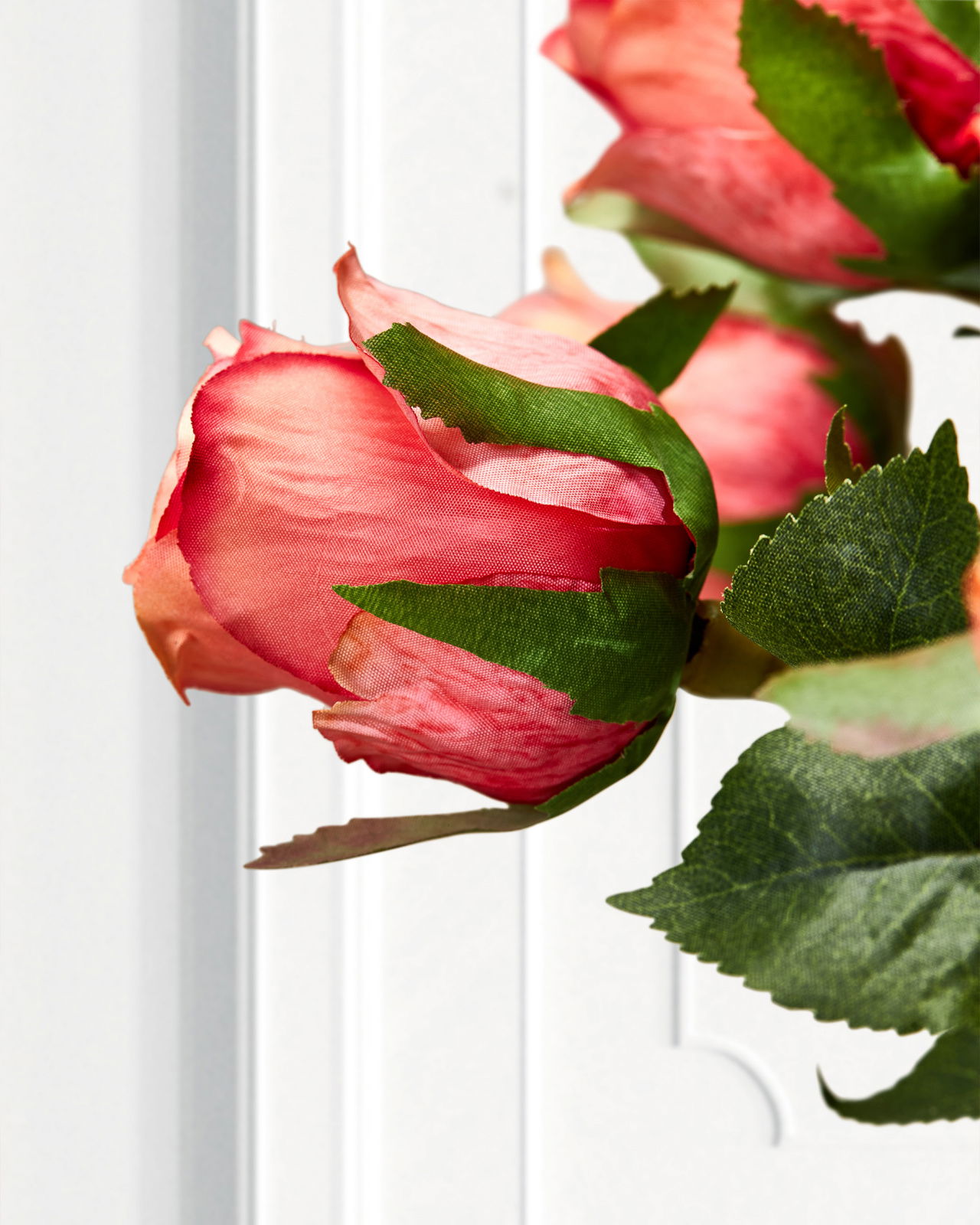 Ros snittblomma korall