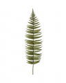 Fern Leaf Green