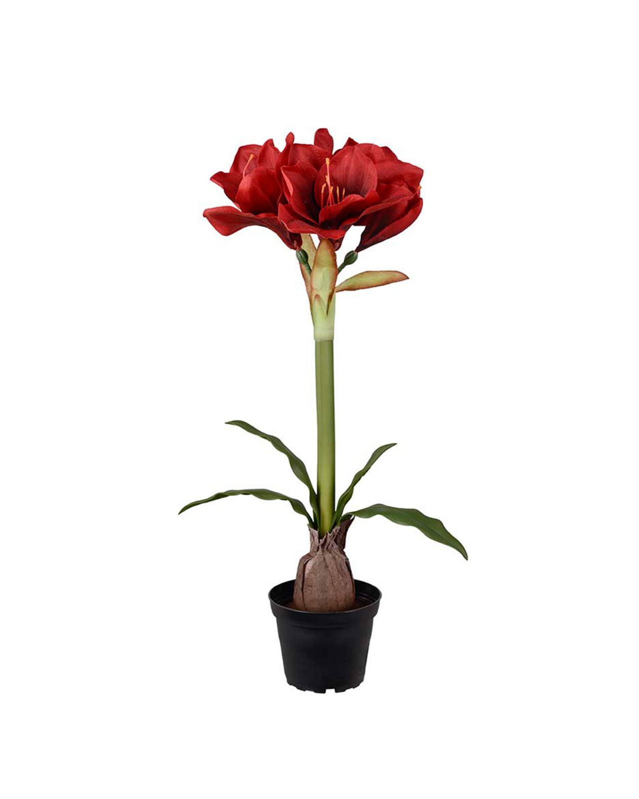 Amaryllis Artificial Plant Red