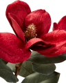 Magnolia snitblomst rød 3-pak