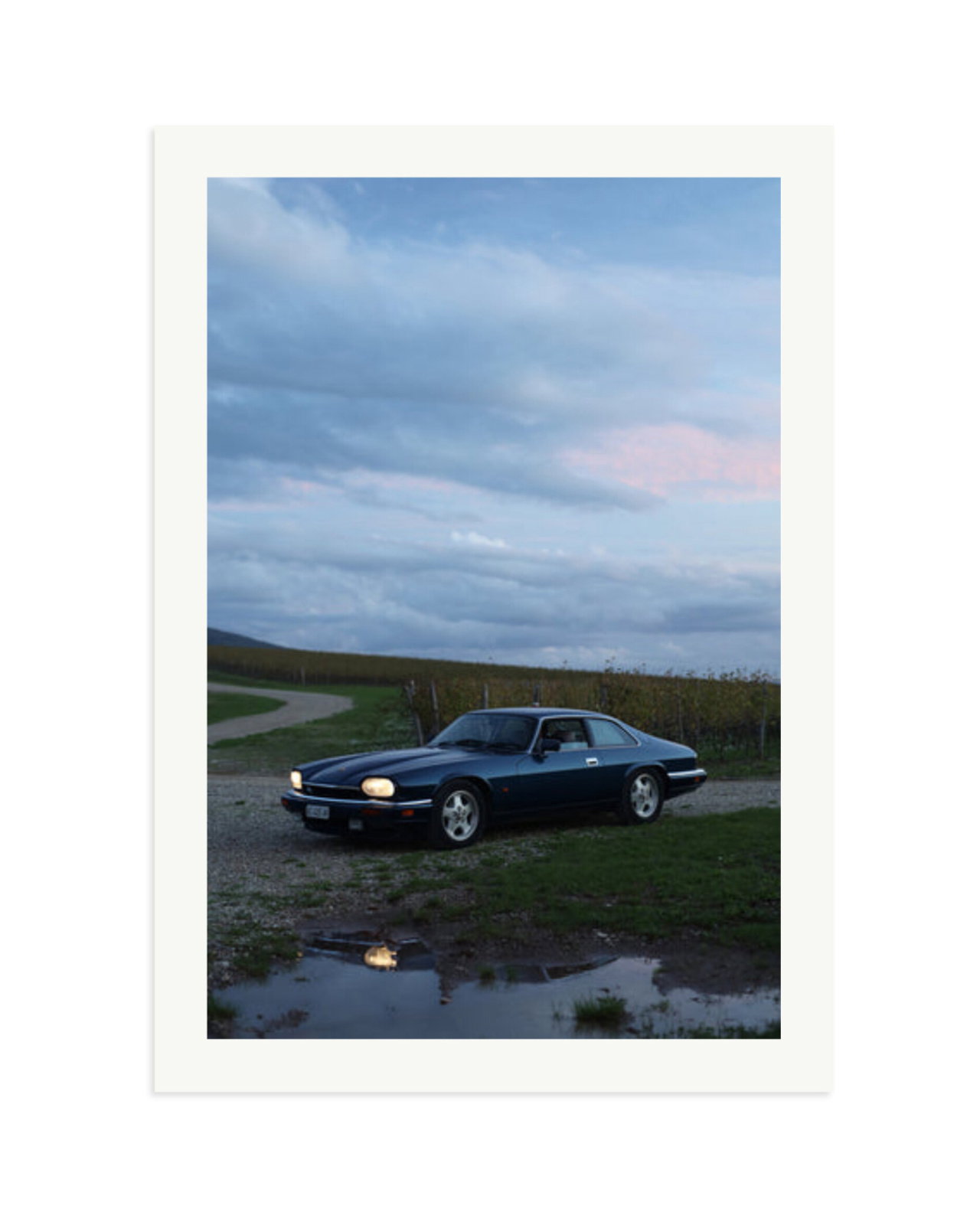 Jaguar XJS Print Only / XXL