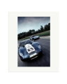Ford Cobra Print Only / Large