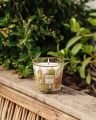 My First Baobab Miami Scented Candle