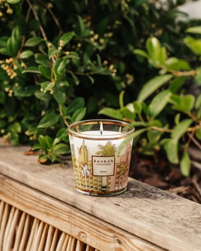 My First Baobab Miami Scented Candle