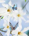 Jouline Decoration Butterfly Blue