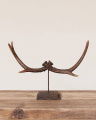 Reindeer Antler Decoration Brown