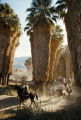 Palm Springs Riders