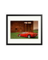 Lamborghini VT Black / Large