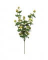 Snowberry Cut Flower White