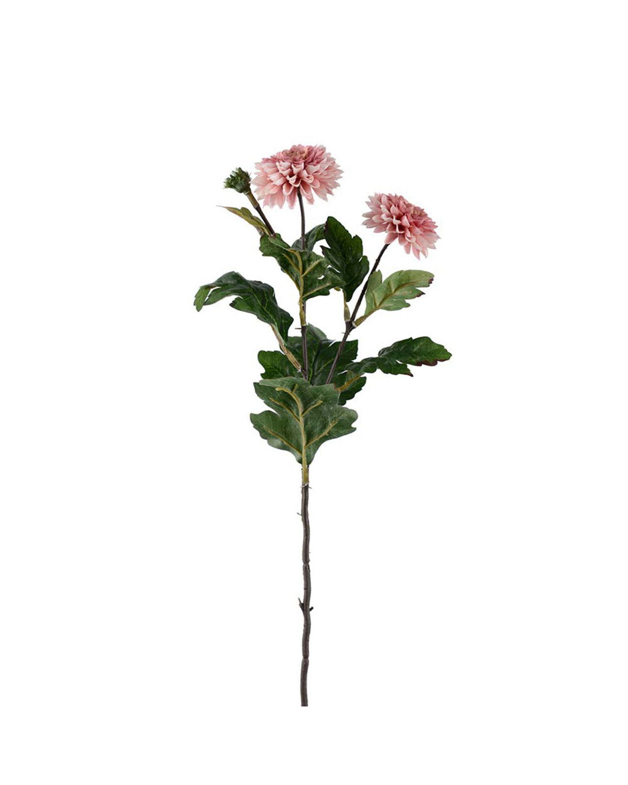 Chrysanthemum snittblomma rosa 53cm
