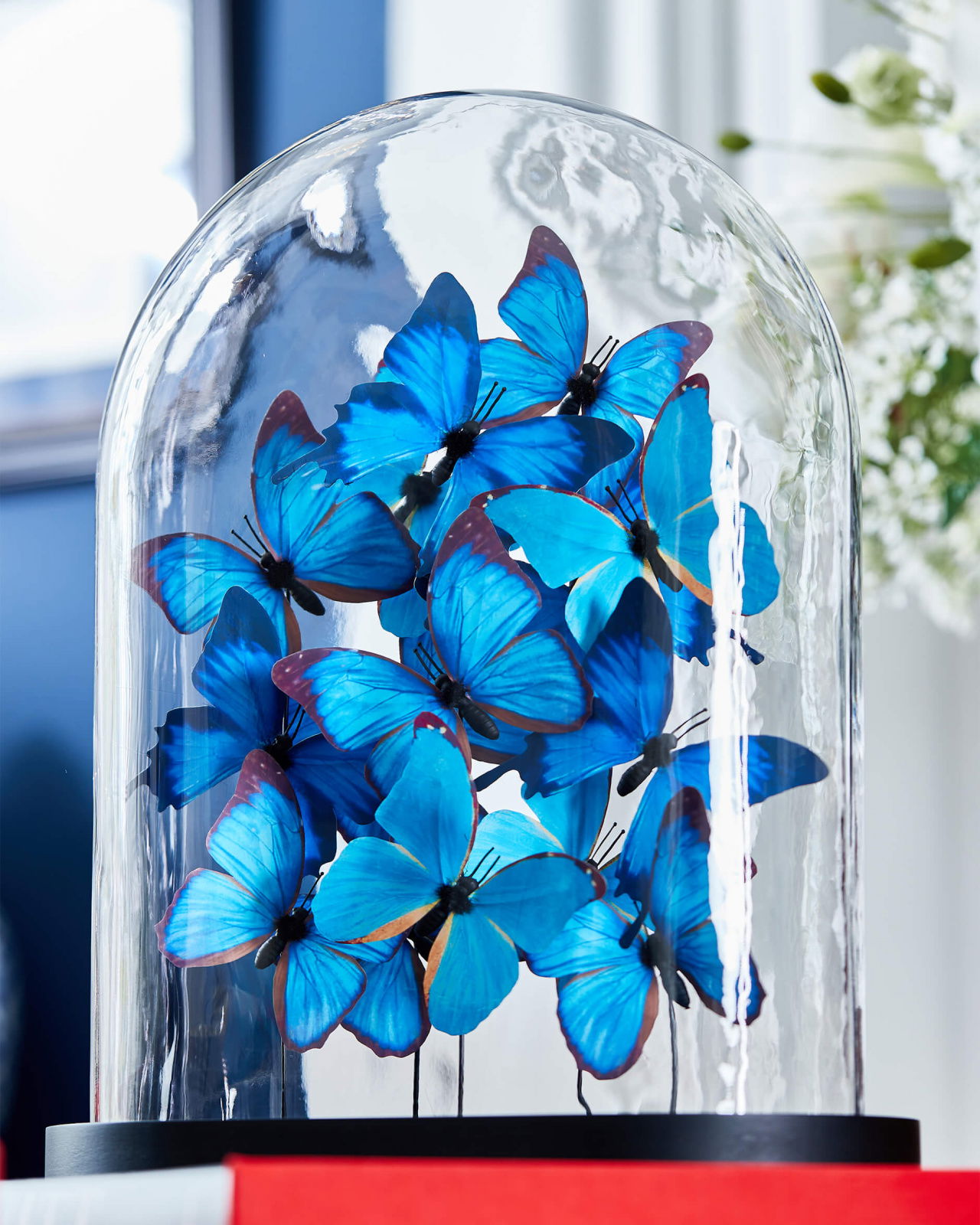 Noves Butterfly Dome Blue
