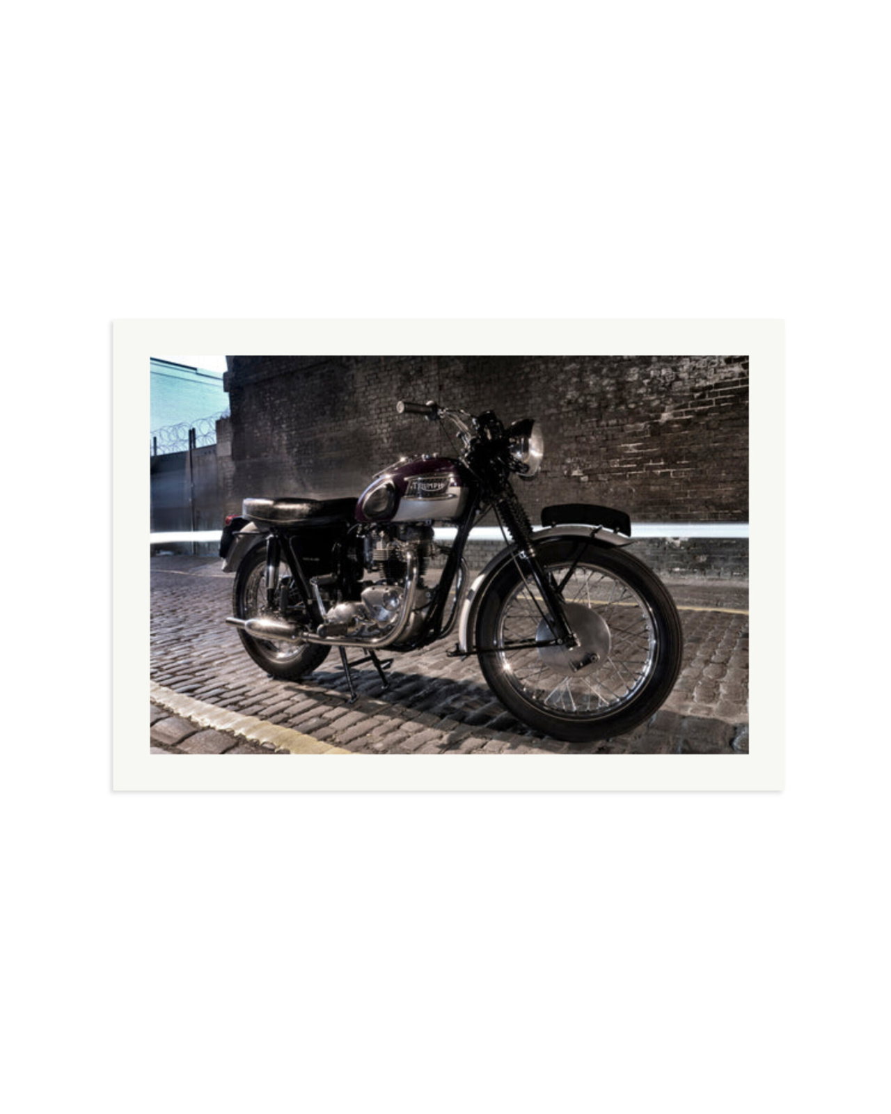 Triumph 1963 Print Only / XXL