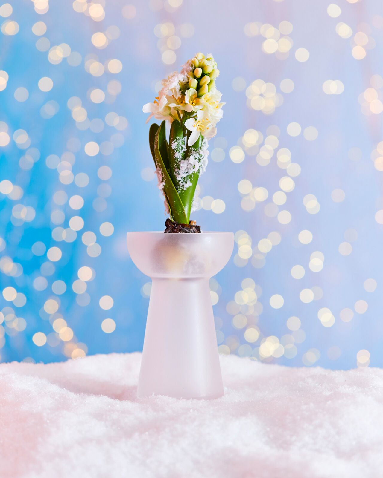 Eudora-hyasinttimaljakko