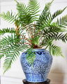 Fern Potted Plant green