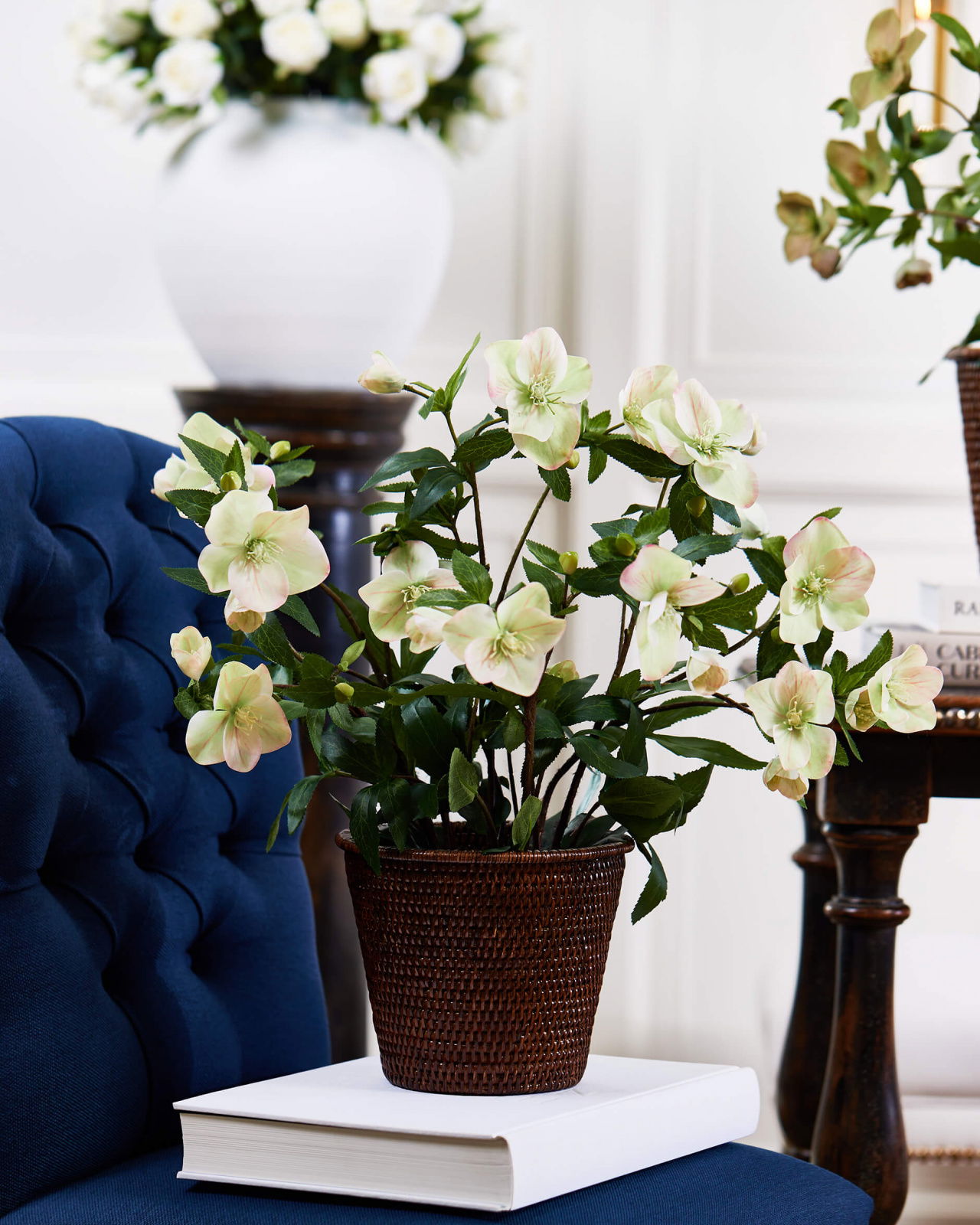 Julros konstväxt vit