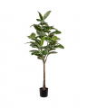 Rubber Fig Artificial Tree Green