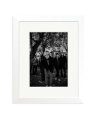 Cage The Elephant White / Small
