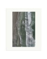Tofino Surf II Print Only / Large