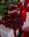 Isolde Sprig Red