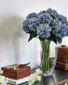 Hortensia snittblomst blå/grønn