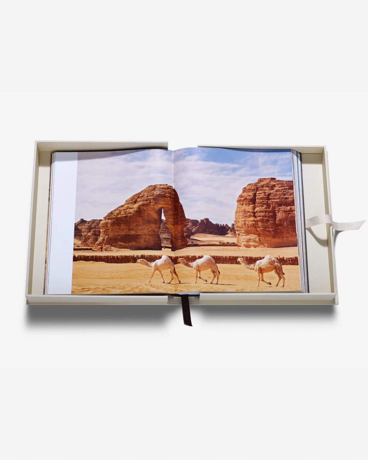 Grace in The Desert: The Beauty of Saudi Arabia's Camels