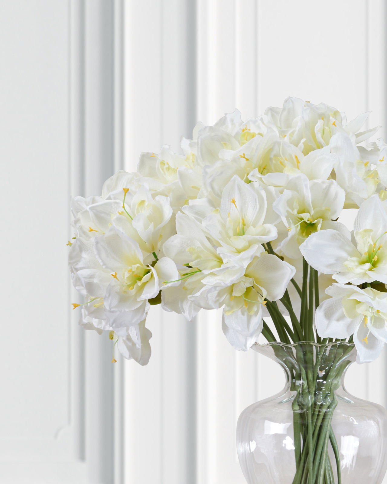 Amaryllis cut flower white