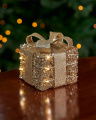 Ophelia present LED Christmas Decoration Champagne