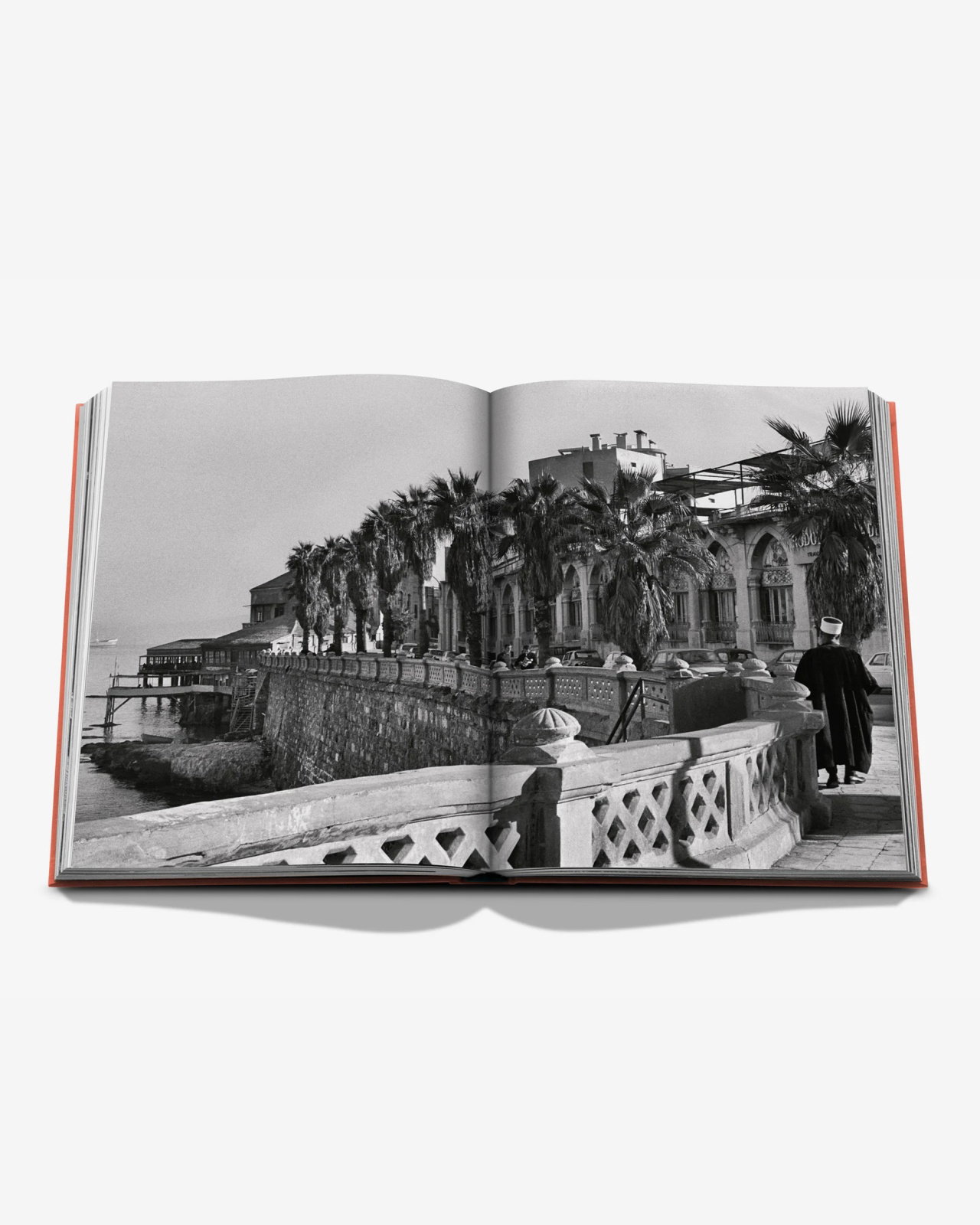 Travel Books Beirut Habibi