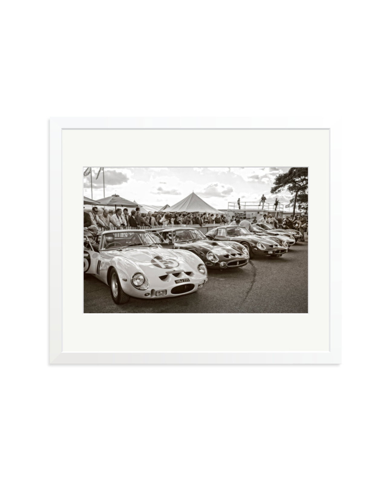 Goodwood Revival Ferarri 250 GTO's White / Large