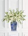 Rudbeckia Cut Flower White