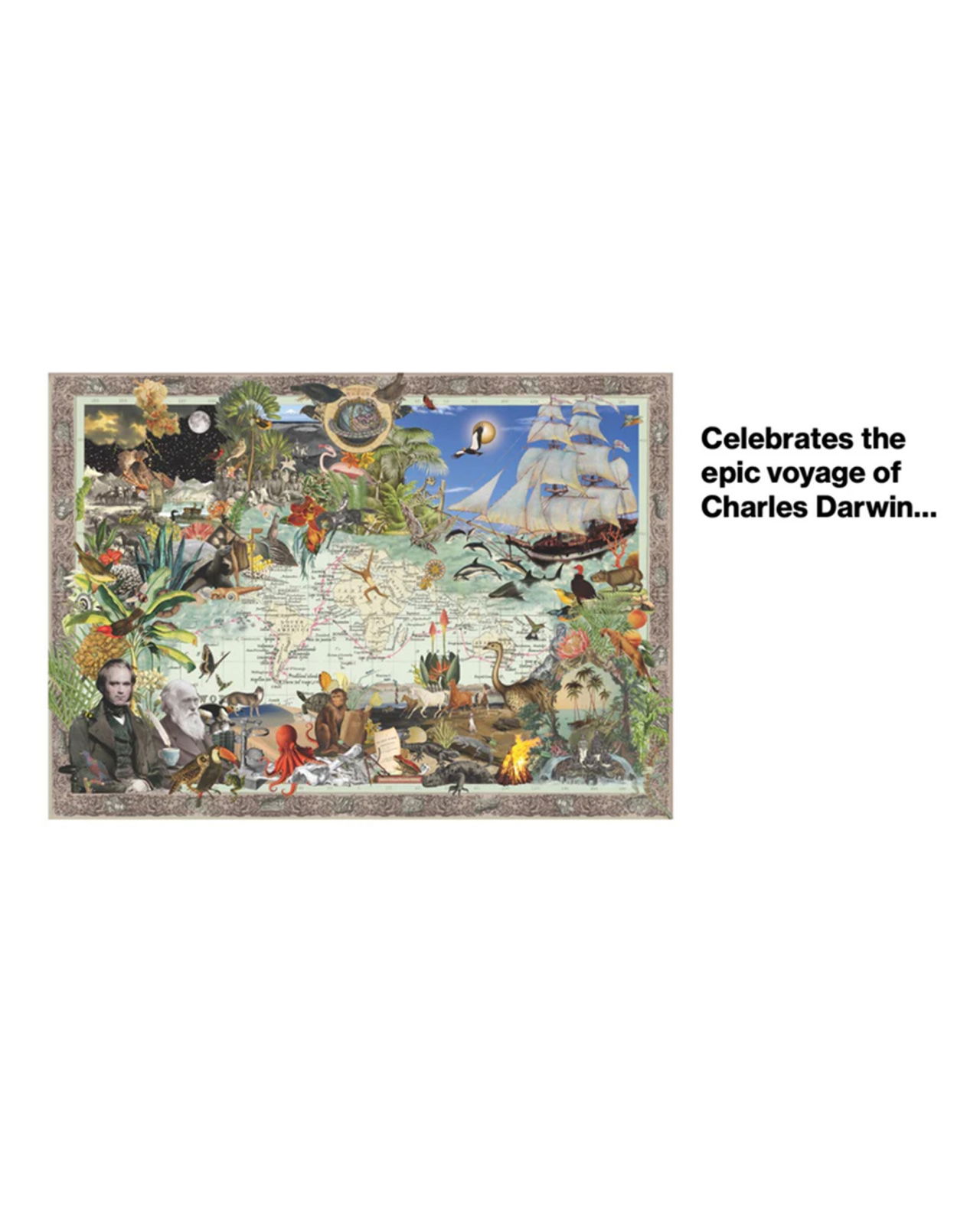 Charles Darwin pussel