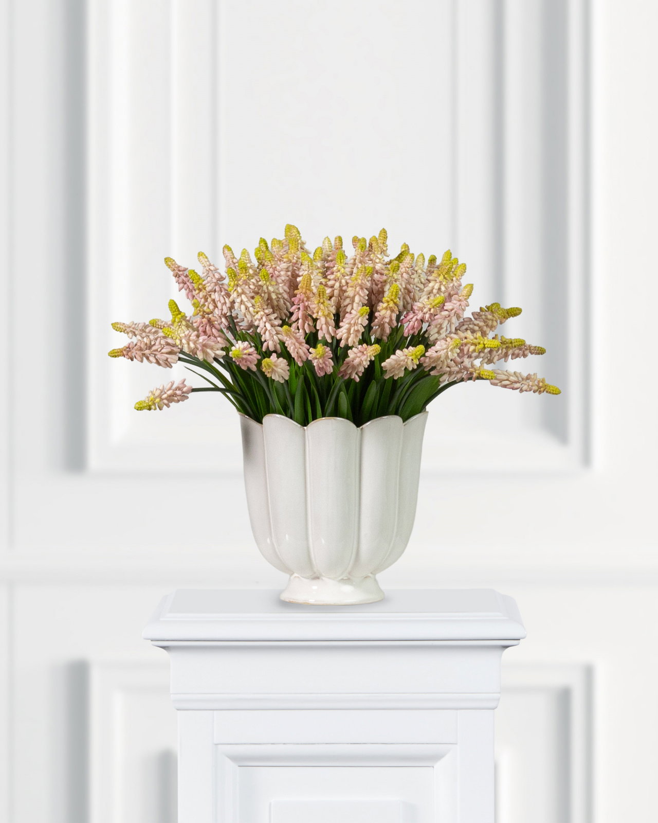 Grape Hyacinth Cut Flower Pink