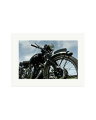 Vincent Black Shadow Print Only / XL