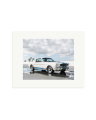 Ford Mustang Shelby GT350 Print Only / Small