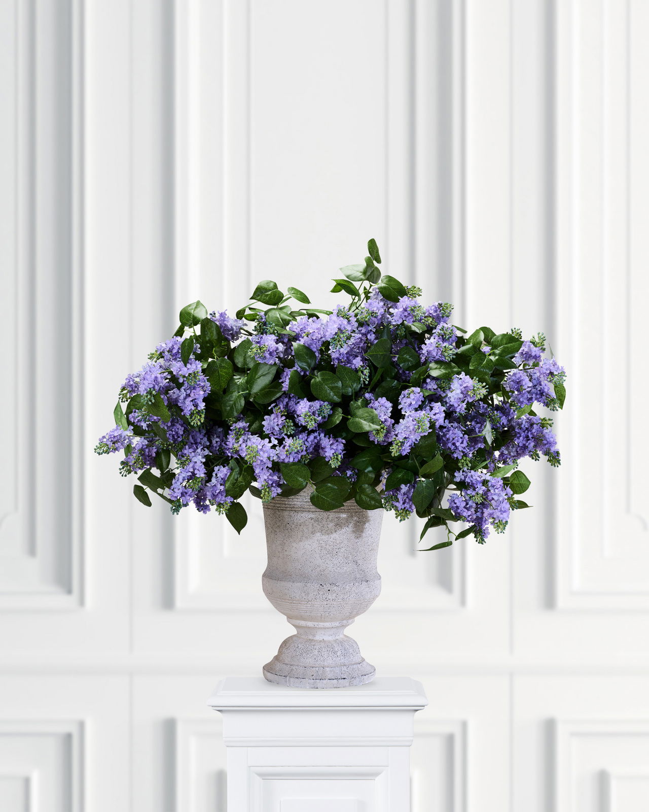 Syreenin oksa, sininen