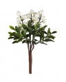 Julius Berry Branch Cut Flower White