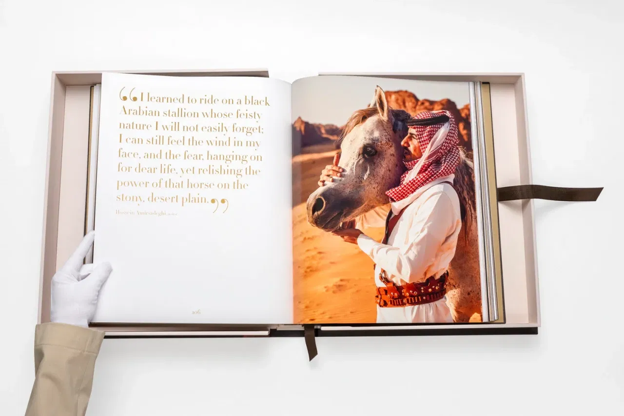 Horses From Saudi Arabia