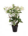 Christmas Rose Artificial Plant White