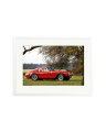 Ferrari Competizione White / XL