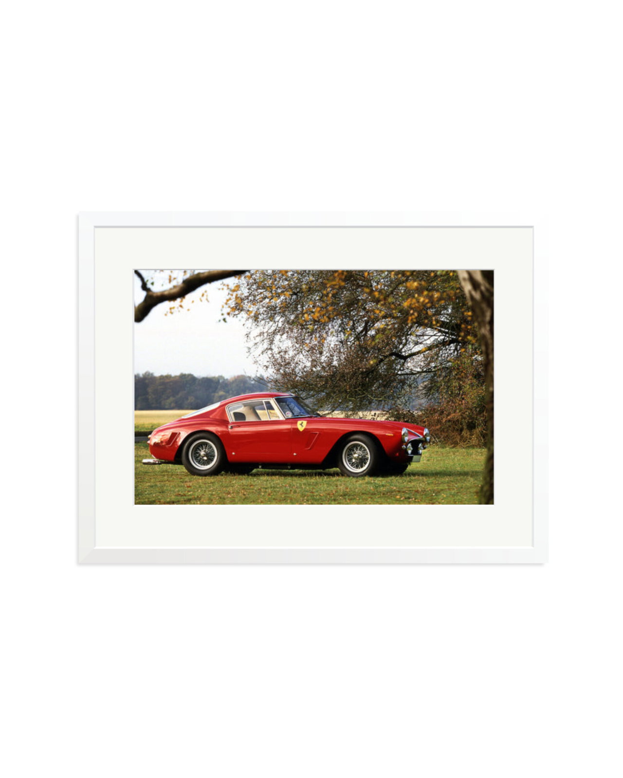 Ferrari Competizione White / XL