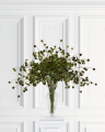 Black blackberry branch cut flower
